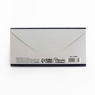 Конверт для денег «С Днём Рождения», серебряный бант, 16.5×8 см - Фото 4