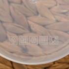 Контейнер для хранения Доляна, пищевой, 500 мл, пластик, прозрачный, крышка синяя - Фото 4