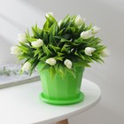 Горшок для цветов с поддоном Доляна «Эрика», 0,7 л, цвет зелёный - Фото 1