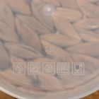 Контейнер круглый Доляна, пищевой, 500 мл, прозрачный, крышка красная - Фото 4