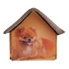 Домик для животных "Померанский шпиц", 33 х 33 х 40 см - Фото 5