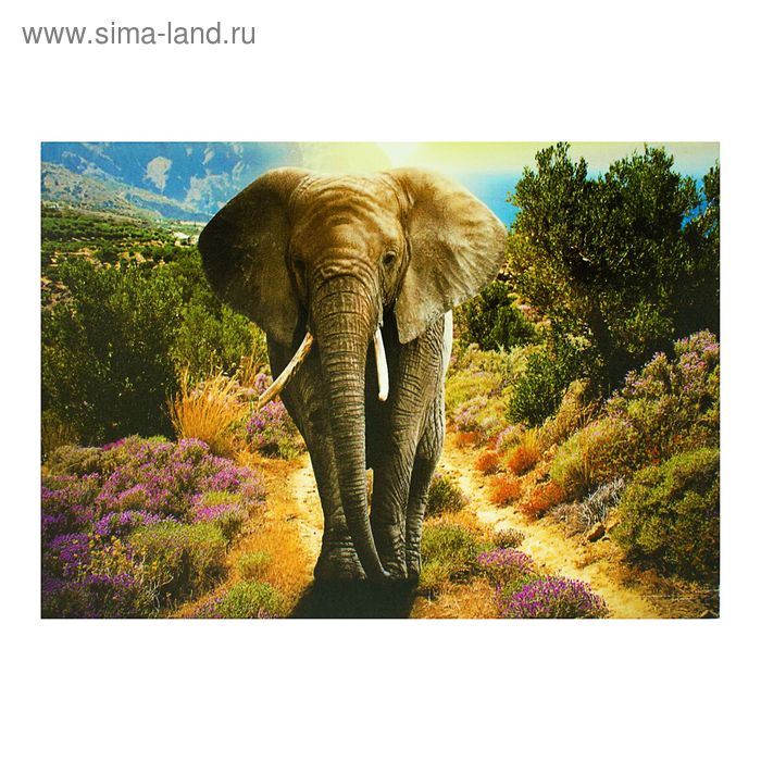 Картина- холст на подрамнике"Слон"  50*70см - Фото 1