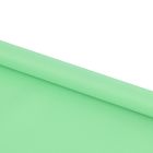 Штора рулонная 60х175 см "Плайн", цвет светло-зеленый - Фото 2