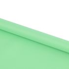 Штора рулонная 60х175 см "Плайн", цвет светло-зеленый - Фото 2