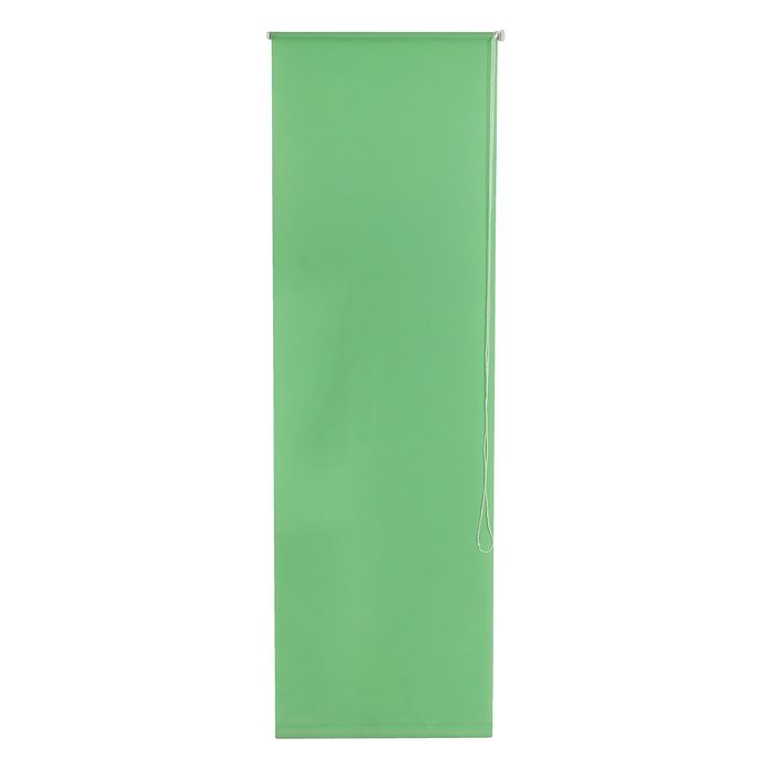 Штора рулонная 120 х175 см «Плайн», цвет светло-зелёный