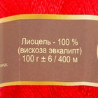 Пряжа "Шелковый блеск" 100% лиоцель(вискоза/эвкалипт) 400м/100гр (0045, красный) - Фото 3