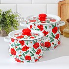 Набор эмалированных кастрюль «Маки сибирские», 2 предмета: 4 л, 5.5 л - Фото 1