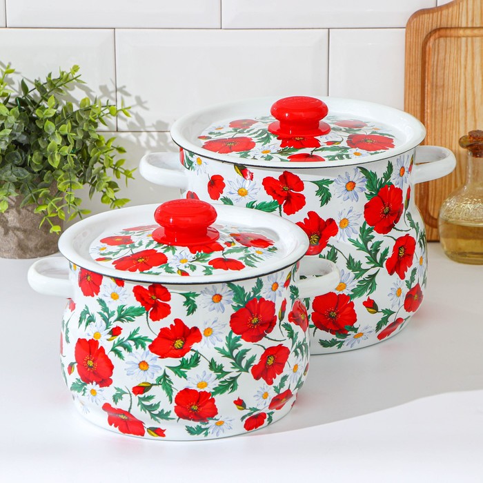 Набор эмалированных кастрюль «Маки сибирские», 2 предмета: 4 л, 5.5 л - Фото 1