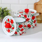 Набор эмалированных кастрюль «Маки сибирские», 2 предмета: 4 л, 5.5 л - Фото 2