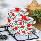 Набор эмалированных кастрюль «Маки сибирские», 2 предмета: 4 л, 5.5 л - Фото 4