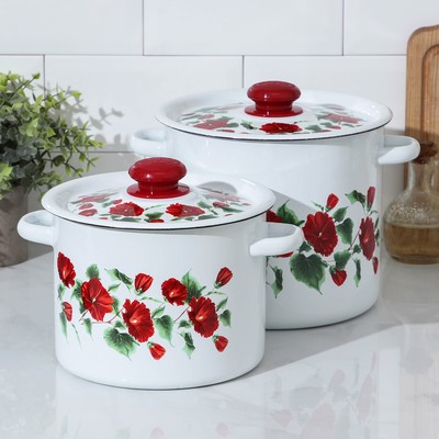 Набор эмалированных кастрюль «Рамо», 2 предмета: 3.5 л, 5.5 л