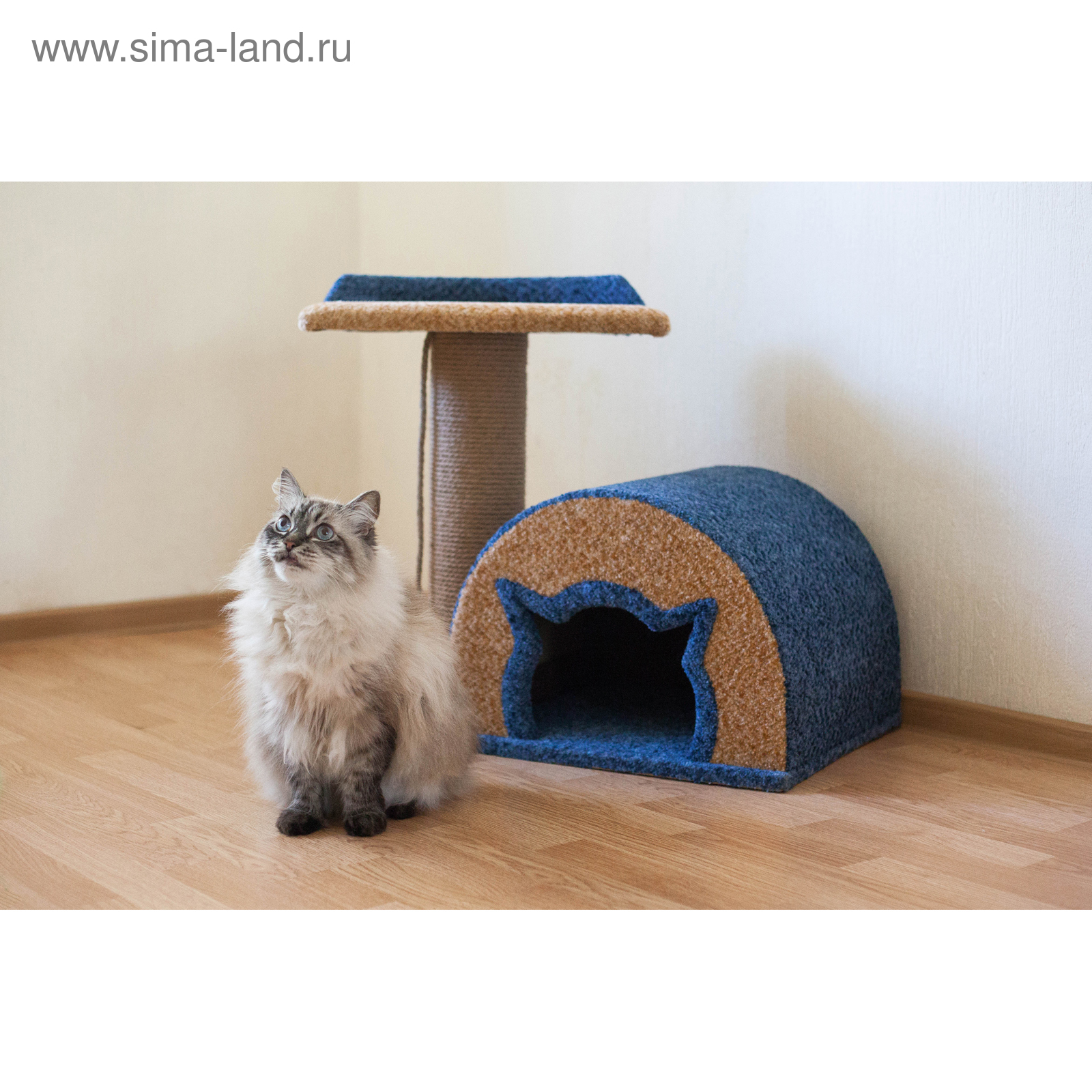 Кошачий комплекс - CormanStroy.ru