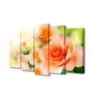 Картина модульная на подрамнике "Нежно-оранжевые розы" 2-63*25см , 2-71*25см , 1-80*25см ; - Фото 1