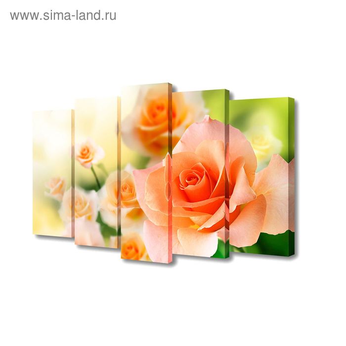 Картина модульная на подрамнике "Нежно-оранжевые розы" 2-63*25см , 2-71*25см , 1-80*25см ; - Фото 1