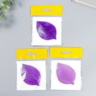 Молд пластик «Роза лист», 7.5×5 см, МИКС - Фото 3