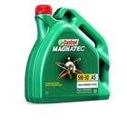 Масло моторное Castrol Magnatec 5W-30 A5, 4 л - фото 5919849