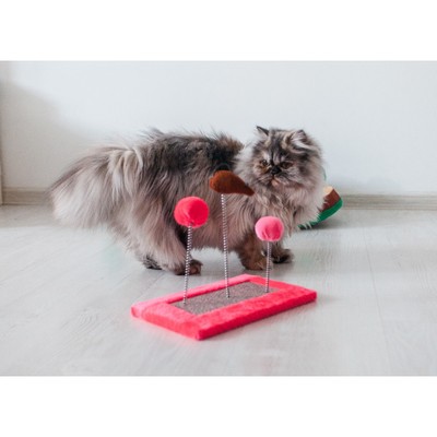 Игрушка для кошек, 27×15.5×25 см, 3 дразнилки и когтеточка, цвет МИКС