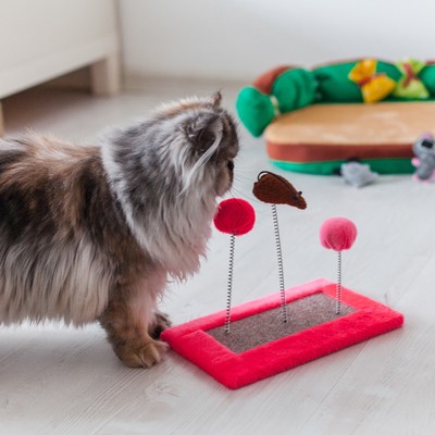 Игрушка для кошек, 27×15.5×25 см, 3 дразнилки и когтеточка, цвет МИКС