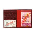 Обложка для автодокументов и паспорта, бордовый скат - Фото 2
