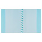 Набор обложек ПЭ 5 штук, 226×430 мм, 200 мкм, для учебников формата А5, универсальная, с закладкой - Фото 10