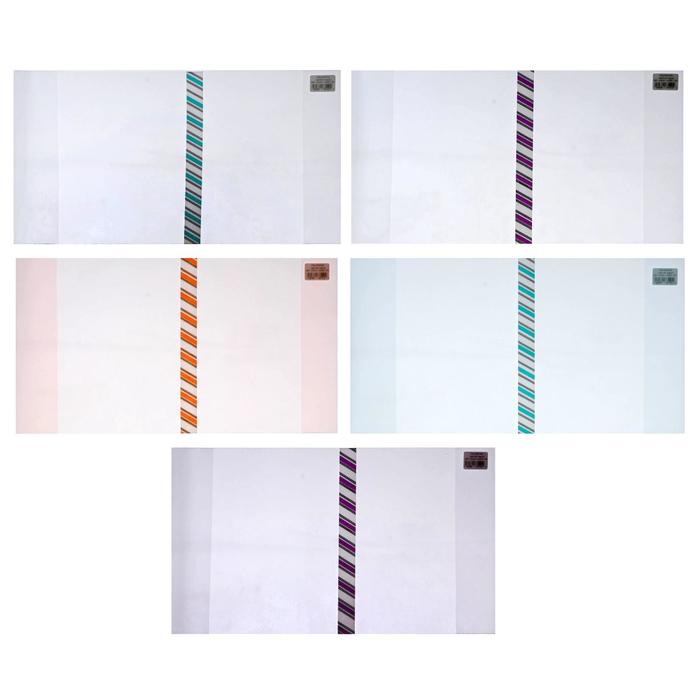 Обложка ПЭ 208×400 мм, 140 мкм, для общих тетрадей, универсальная, с закладкой, МИКС