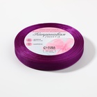Лента капроновая, 10 мм, 20±1 м, фиолетовая, №35 - Фото 3