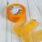 Лента капроновая, 40мм, 20±1м, №179, цвет морковный - Фото 1