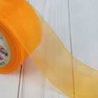 Лента капроновая, 40мм, 20±1м, №179, цвет морковный - Фото 2