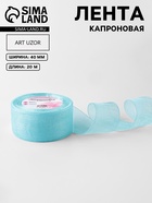 Лента капроновая, 40 мм, 20±1 м, тёмно-голубая - Фото 1