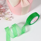 Лента капроновая, 20 мм, 20±1 м, зелёная №19 - Фото 2