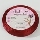 Лента капроновая, 10 мм, 20 ± 1 м, цвет красно-коричневый №48 - Фото 2