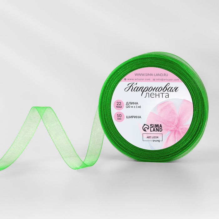 Лента капроновая, 10 мм, 20±1 м, зелёная №19