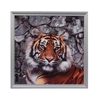 Картина в раме "Тигр" 76*76см - Фото 1