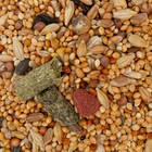 Корм «Верные друзья» для мелких грызунов, 500 г - Фото 3