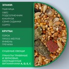 Корм «Верные друзья» для мелких грызунов, 500 г - Фото 4