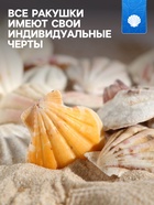 Набор ракушек, 4 - 5 см, 100 г - Фото 2