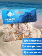 Набор ракушек, 4 - 5 см, 100 г - Фото 3