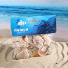 Набор ракушек, 4 - 5 см, 100 г - Фото 7