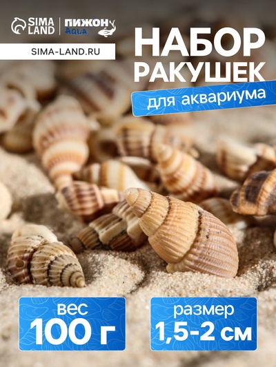 Набор ракушек 100 г