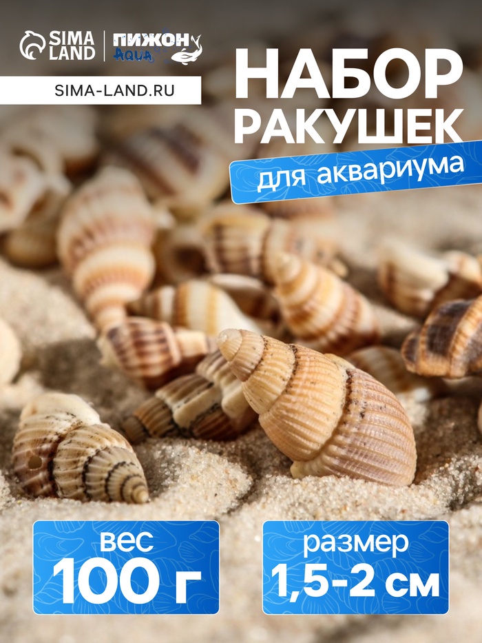 Набор ракушек 100 г - Фото 1