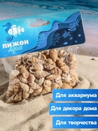 Набор ракушек 100 г - Фото 3