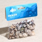 Набор ракушек, 3 - 4,5 см, 100 г - Фото 3