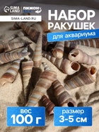 Набор ракушек, 3 - 5 см, 100 г - Фото 1