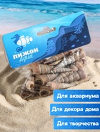 Набор ракушек, 3 - 5 см, 100 г - Фото 3