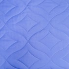 Покрывало двустороннее "Люкс", размер 200х205 см, микро-сатин 90 г/м2, рисунок 90-114В - Фото 2