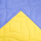 Покрывало двустороннее "Люкс", размер 200х205 см, микро-сатин 90 г/м2, рисунок 90-114В - Фото 3