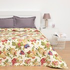 Покрывало "Премиум", размер 150х205 см, микро-сатин 90 г/м2, рисунок 90-104 - Фото 1