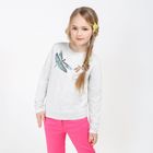 Джемпер для девочки Ericsson, рост 140 см, цвет серый (арт. 20210170013_Д) - Фото 1
