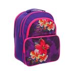 Рюкзак школьный на молнии "Букет цветов", 2 отдела, 2 наружных кармана, фиолетовый/сиреневый - Фото 2