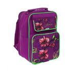 Рюкзак школьный на молнии "Колибри", 2 отдела, 2 наружный кармана, фиолетовый - Фото 2